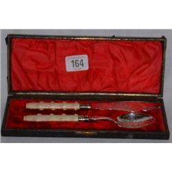 CASE WITH BONE HANDLED JELLY SPOON AND MATCHING B