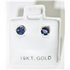 Image 1 : 10K SAPPHIRE EARINGS