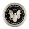 Image 2 : 2000 $1 Proof American Silver Eagle Coin
