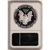 Image 2 : 2010-W $1 Proof American Silver Eagle Coin NGC PF70 Ultra Cameo