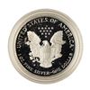 Image 2 : 1996 $1 Proof American Silver Eagle Coin