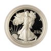 Image 1 : 1992 $1 Proof American Silver Eagle Coin