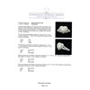 Image 5 : 1.76 ctw Diamond Ring - 14KT White Gold