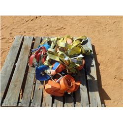 MISC TIE DOWN STRAP (B9)