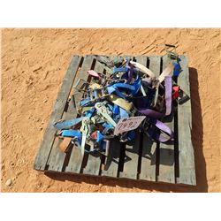 MISC TIE DOWN STRAP (B9)