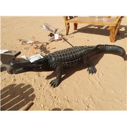 ALIGATOR ALUMINUM (C6)