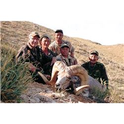 Gobi Argali Hunt in Mongolia