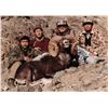 Image 4 : Gobi Argali Hunt in Mongolia