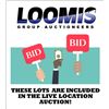 Image 1 : ONLINE & LIVE LOCATION AUCTION