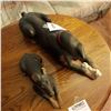 Image 2 : PAIR OF BEAUTIFUL RESTING DOBERMANS WITH COLLARS