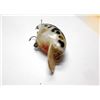 Image 4 : VINTAGE HEDDON BIG HEAD RATTLE FISHING LURE