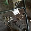 Image 4 : YARD MACHINE PUSH MOWER