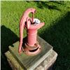 Image 2 : PITCHER PUMP