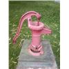 Image 3 : PITCHER PUMP