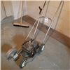 Image 2 : LAWN EDGER