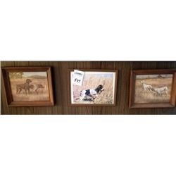 LOT OF 3 DOG PICTURES