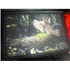 Image 1 : GAME BIRD COLLECTIBLE PRINT / FRAMED