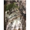 Image 2 : Cabela's LightweightCamo Jacket