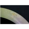 Image 10 : 2 PC Burma Green Jadeite Carved Bangle