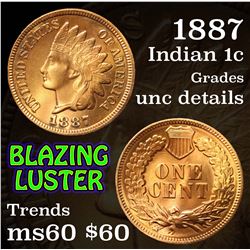 1887 Indian Cent 1c Grades Unc Details