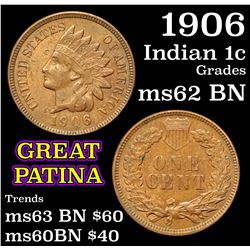 1906 Indian Cent 1c Grades Select Unc BN