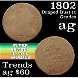 1802 Draped Bust Large Cent 1c Grades ag