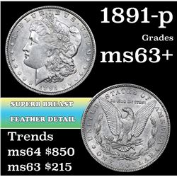 1891-p Morgan Dollar $1 Grades Select+ Unc