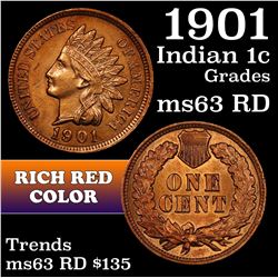1901 Indian Cent 1c Grades Select Unc RD