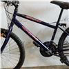 Image 2 : BLUE CCM BIKE