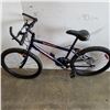 Image 3 : BLUE CCM BIKE