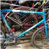 Image 2 : RALEIGH GATOR BIKE