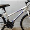 Image 2 : WHITE SUPER CYCLE BIKE