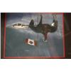 Image 2 : 2 CANADIAN PICTURES AND FLAG