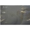 Image 2 : DOUBLE SIZE BEAUTY REST HAMPTON MATTRESS FLOOR MODEL - HAS STAINS
