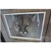Image 2 : INTENT COUGARS BY ROBERT BATEMAN LEP 24379