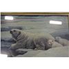 Image 2 : ROBERT BATEMAN PRINT "POLAR BEARS"