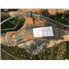 Image 1 : Automotive parts