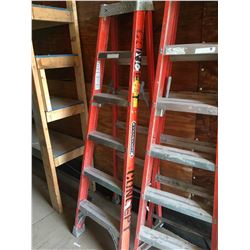 2 Louisville 6' ladders