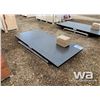 Image 2 : 10 TON DIGITAL FLOOR SCALE