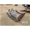 Image 2 : 60" EXCAVATOR BRUSH RAKE