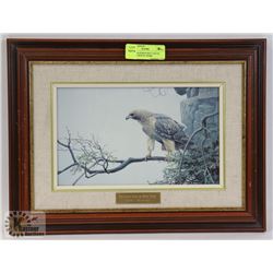 ROBERT BATEMAN RED TAILED HAWK ON MOUNT NEMO