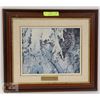 Image 1 : ROBERT BATEMAN BARRED OWL FRAMED PICTURE