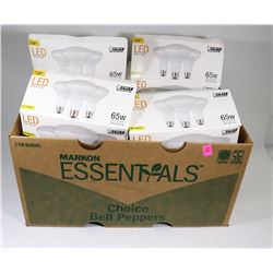 LOT OF 20 FLOOD LIGHTS.