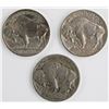 Image 2 : BUFFALO NICKELS