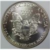 Image 2 : 1991 AMERICAN SILVER EAGLE