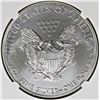 Image 2 : 2015-W BURNISHED AMERICAN SILVER EAGLE