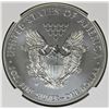 Image 2 : 2013-W AMERICAN SILVER EAGLE