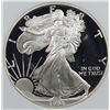 Image 1 : 1994-P AMERICAN SILVER EAGLE