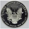 Image 2 : 1996-P AMERICAN SILVER EAGLE