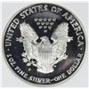 Image 2 : 2000-P AMERICAN SILVER EAGLE